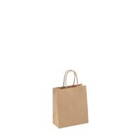 Paper Carry Bag 210x160x80mm