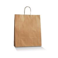 Paper Carry Bag 340x240x120mm