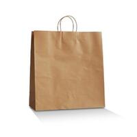 Paper Carry Bag 480x340x90mm