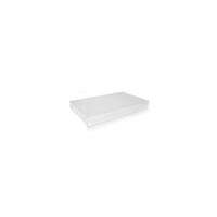 Rectangular Catering Tray Clear Small Lid RPET