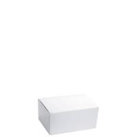 Snack Box Medium Plain White