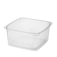 Portion Control Plastic Container Square 250ml