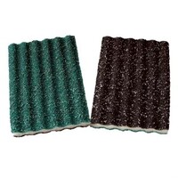 Scourer Double Sided Black/Green Jona