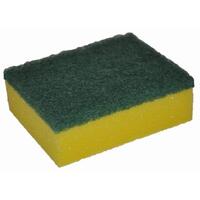 Scourer Sponge 100x150mm