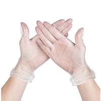 Gloves Vinyl Powder Free Clear Large