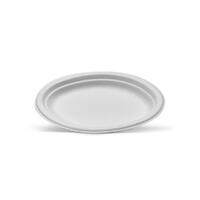 Sugarcane Plate Oval 10x7.5 Inch