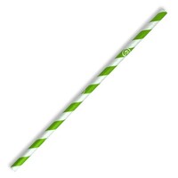 Paper Straw Regular Green Stripe 6x197mm (BioPak) 